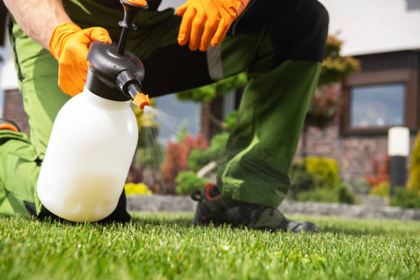 Best Wildlife Control Services  in Simmesport, LA