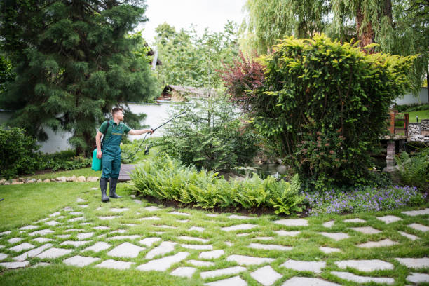 Best Residential Pest Control  in Simmesport, LA