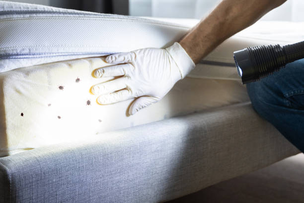 Best Pest Prevention Services  in Simmesport, LA