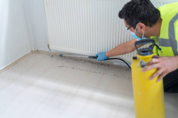 Professional Pest Control in Simmesport, LA