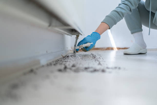 Best Pest Removal Services  in Simmesport, LA